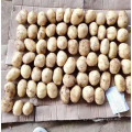 2021 New Crop Export Natural Chinese Fresh Potato Sweet Potato For Wholesale